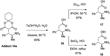 The synthesis of γ-amino acid scaffolds from adduct 14a.