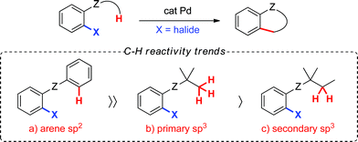 
          Palladium(0)-catalyzed intramolecular C–C bond forming reactions involving C–H bonds of varying hybridization.