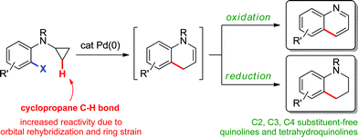 Preparation of quinolines and tetrahydroquinolines via an sp3 C–H bond functionalization strategy.