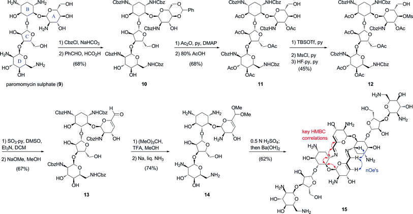 Synthesis and self-assembly of paromomycin bis-imino dimer (15). Red and blue arrows indicate key HMBC and nOe correlations.