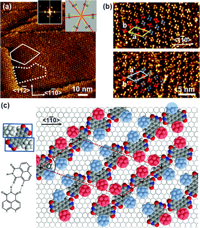 a) Large-scale STM image of (Ad-S)2–PTCDI on Au(111). The dotted and dashed lines frame two mirror domains which are also reflected in the Fourier transform (insets). The relationship between domains and diffraction spots is illustrated by the cartoon. It = 174 pA, Vbias = 180 mV b) Magnified images of the two domains marked in (a). Highlighted by red and blue circles are two groups of protrusions identified as the adamantyl moieties. c) Model of the chiral (Ad-S)2–PTCDI monolayer structure which is described by an oblique (2√63 × √19)R19.1° unit cell (a = 45.9 Å, b = 25.2 Å, α = 55.7°). The projected area of the space filling structure marked by two rectangles is shown on the left (for details see text).