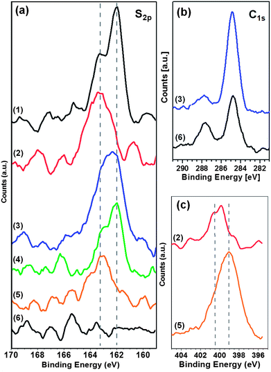 
            XP
            spectra of PTCDI/melamine networks and an adamantanethiol SAM on Au(111). S2p (a), C1s (b) and N1s (c) regions are shown for pure AdSH-SAM (1), pure (Ad-S)2–PTCDI monolayer (2), (Ad-S)2–PTCDI/Mel network with AdSH, AdG, filled pores (3), PTCDI/Mel-network filled with AdSH, AdG, filled pores (4), empty (Ad-S)2–PTCDI/Mel network (5), empty PTCDI/Mel network (6).