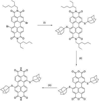 Synthetic pathway used to prepare (Ad-S)2–PTCDI. (i) AdSH, tBuONa, Pd(PPh3)4, toluene, 80–90 °C, 24h,; (ii) KOH, iPrOH, RT, 24h; (iii) NH4OH, THF, 50 °C, 24h.