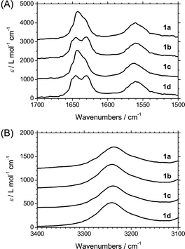 
            IR spectra recorded in amide I (CO stretching) and amide II (coupling of N–H bending and C–N stretching) region (A) and N–H stretching region (B) of solutions of 1a–d in DHN at a concentration of 1.8 mM at RT. The curves are shown with a 1,000 L mol−1 cm−1 offset for (A) and 400 L mol−1 cm−1 offset for (B), respectively.