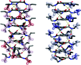 The structures of BTA 8-mers with a methyl substituent at the α-position (left) and β-position (right) with (S)-configuration.
