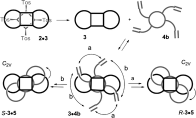 Synthesis of bis[2]catenane 3·5 as racemate.