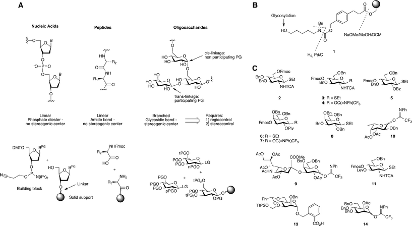 Fundamental considerations guiding automated solid phase oligosaccharide synthesis. (A) Solid-support synthesis of nucleic acids, peptides and oligosaccharides. Protecting groups: PG = protecting group; LG = leaving group; tPG = temporary protecting group; nPG = non-participating protecting group; pPG = participating protecting group; (B) linker design: new linker (structure 1) includes a C5-spacer and a latent terminal amine group revealed at the end of the synthesis by hydrogenolysis; (C) building blocks used for the construction of complex carbohydrates.