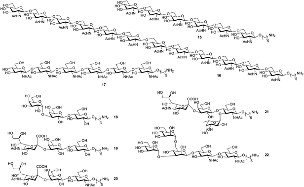 Oligosaccharide structures prepared by automated synthesis. 15 = β-(1→6)-glucosamine hexamer; 16 = dodecaglucosamine; 17 = β-(1→4)-glucosamine hexamer; 18 = iso-Gb3 trisaccharide; 19 = sialyl lactose; 20 = sialyl lactosamine; 21 = sialyl Lewisx; 22 = N-glycan core pentasaccharide.