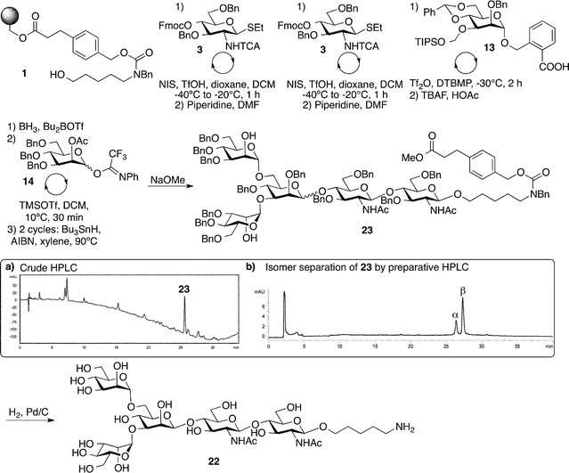 Automated synthesis of the N-glycan core structure 22. Insert (a) shows the HPLC chromatogram of the crude material. Insert (b) shows the HPLC chromatogram of the mixture of α- and β-anomers separated on a YMC-pack diol column.