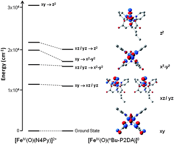 Left: Spin-allowed d–d excitation energies obtained by TD-DFT for [FeIV(O)(N4Py)]2+ and 5(b) (the transition dxy → dz2 for 5(b) is strongly mixed with other transitions and has not been indicated). Right: isosurface plots of the 3d-type orbitals for the β-spin for 5(b).