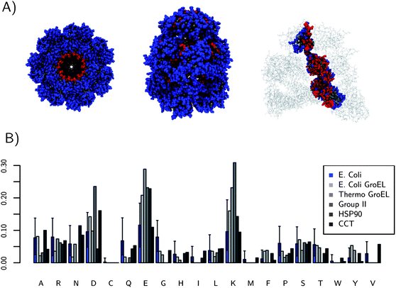 (A) shows three views of the location of interior residues (red) for E. coli GroEL. (B) The fraction of each amino acid on the interiors of 5 molecular chaperones. The median fraction of each amino acid type on the surface of a collection of 528 E. coli proteins is shown in blue for comparison to GroEL–GroES, which is also an E. coli protein. GroEL–GroES is significantly different. All the chaperone structures used for these calculations were the cis or “closed” forms. The error bars come from a 95% confidence interval from quantiling. The fractions of E and K are the most different relative to E. coli proteins. The thermophilic GroEL–GroES mutant has a very high fraction of charged residues, 70%.
