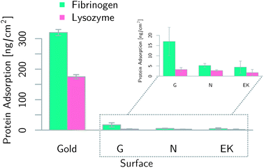 Protein adsorption results as determined by SPR. Ac-[EK]7PPPPC-Am (EK), Ac-GGGGGGGPPPPC-Am (G), and Ac-CPPPPNNNNNNN-Am (N) sequences were self-assembled onto gold and protein solution was flowed over. Bound protein after buffer wash is shown in the bars. Untreated gold and poly-glycine are shown for reference. EK and N show similar stealth performance.