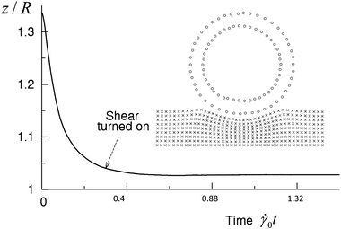 The vertical position of the capsule's shell center of mass as a function of time. The shear flow is imposed at tstart = 1.5 × 105 ΔtLBM. The inset shows the LSM nodes of the substrate and capsule (internal and external layers only) at tstart.