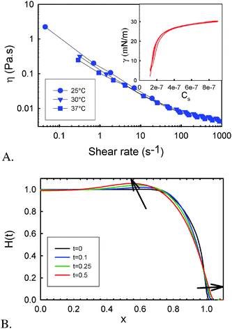 Physical characteristics of the biofilm and calculated height profiles. A: viscosity versus shear rate of the biofilm and (insert) surface pressure of the rhamnolipids versus the surface concentration (Cs in mol cm−2) for 2 consecutive compression expansion cycles. B: renormalized height profile of a spreading film.