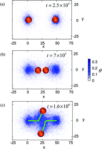 Top down view of two moving capsules. The initial distance between the centers of mass of the capsules is 10R. Time is marked in the frames. The color bar indicates the density of the nanoparticles deposited on the substrate. Green lines in (c) indicate the motion of the centers of mass of the capsules.