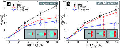 Velocities of the carrier–cargo composites versus the concentration n of H2O2. Panel (a) displays the dependences of the velocities of the free single carrier (black curve) and carriers loaded with one or two cargoes (red and blue curves, respectively). In turn, panel (b) describes the corresponding velocities of the free double carriers (black curve), with one cargo (red curve), and with two cargoes loaded (blue curve). The insets in the panels (a) and (b) display ideal, perfectly aligned configurations of the carrier–cargo composites (see Fig. 4 and discussion in the main text).