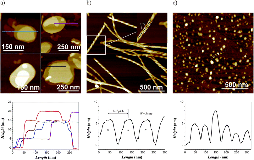 
            AFM height images of the self-assembly of 0.1 w/w% β-sitosterolin in H2O/DMSO (9 : 1) showing (a) platelet-like structures and their height profile with quantized thickness and (b) coexisting helical ribbons with the corresponding analysis of the height profile and the pitch. AFM height images of the self-assembly of 0.1 w/w% β-sitosterolin in iPrOH/DMSO (9 : 1) showing (c) spherical aggregates and their height profile. From (a) to (c), the lower row gives the height profile measured along the colored lines of the corresponding upper AFM images.