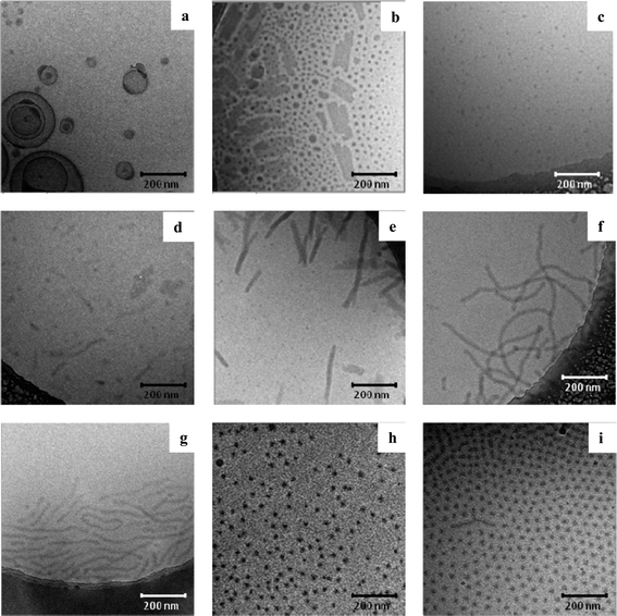 Variation of the hydrophobic content of the copolymer building blocks and influence on the resulting supramolecular aggregates. (a) pEtOx67-b-R-BuEtOx12-I forms micelles and vesicles. (b) pEtOx62-b-R-BuEtOx16-II results in the formation of micelles and 2-dimensional sheet structures or (c) spherical micelles depending on the sample preparation. (d) With further increasing the hydrophobic content (pEtOx64-b-R-BuEtOx30-III) the tendency to form 2-dimensional sheets is more pronounced and hardly spherical micelles are found. (e) pEtOx59-b-R-BuEtOx31-IV shows vertically aligned sheets as evidenced by the clearly resolved internal structures of the aggregates. Even higher hydrophobic contents of (f) pEtOx56-b-R-BuEtOx38-V and (g) pEtOx54-b-R-BuEtOx34-VI yield in the formation of worm-like micellar structures, where no internal structure can be resolved. (h) pEtOx45-b-RS-BuEtOx16-VII and (i) pEtOx41-b-RS-BuEtOx19-VIII are block copolymers containing the racemic block which both form spherical micelles.