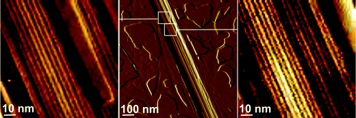 
          AFM amplitude images of a cylindrical aggregate formed by C16-KTTKS with 0.9 wt% added SDS. Left and right parts show high resolution images of surfaces with the presence of stripes with a periodicity about 4.2 nm.
