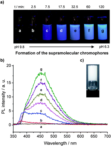 (a) Photographs of a macroscopic sample of an aqueous solution of 10 g·L−1 of 1Na before (a) and after (b to g) addition of GdL (images were recorded under UV irradiation, λexc = 366 nm. Differences in color are caused by scattering effects and automatic white balance of the camera). (b) Corresponding PL spectra (λexc = 300 nm. The noise is caused by the fast scanning speed that was chosen in order to avoid significant changes of the spectra during acquisition). (c) Photograph of inverted hydrogel sample after 24 h (although the pH value continuously decreases reaching a value of ca. 4.2 after 4 days, there are no significant changes in the PL spectra compared to the sample after 2 h (g)).