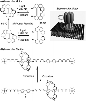 Examples of molecular machines in solution: (A) molecular motor (analogous to biomolecular motor) and (B) molecular shuttle.