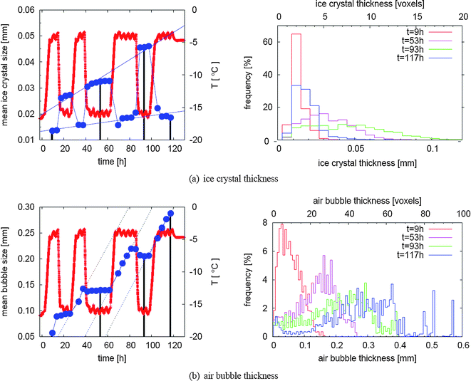 Evolution of typical structural sizes in relation to temperature changes. In (a), the evolution of the mean thickness of ice crystals is shown, while (b) depicts the evolution of air bubble thickness. For both phases in the left column mean sizes (dark blue dots) are plotted together with temperatures (red line) in order to facilitate the distinction between warm and cold periods within the temperature cycle. The histograms behind some selected dots (marked by black lines) are shown on the right hand side. For interpretation of these graphs it is important to note that frequencies mean the fraction of voxels that belong to a certain size class as calculated by the distance transform.