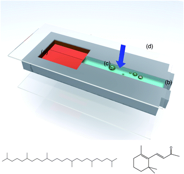 Schematic of the experiment to study compositional ripening of mobile oil drops near an immobile oil reservoir by brightfield microscopy in a microchannel cell. (a) Immobile oil reservoir; (b) aqueous solution of amphiphilic polymer (Acacia gum or octenyl succinic anhydride (OSA) starch); (c) droplets of the mobile oil; and (d) cover glass. The arrow indicates the direction of observation in the microscope. Also shown are the model oils used for the shrinking experiments: squalane (left) is used for the immobile oil reservoir; β-ionone is used for the mobile drops.