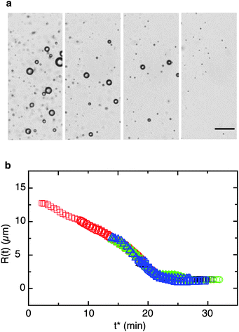 Mobile oil drops with compliant interfaces undergoing compositional ripening. (a) Micrograph sequence of β-ionone oil drops in an aqueous solution of octenyl succinic anhydride (OSA) starch. Scale bar: 50 μm; time increment between images: 4 min. (b) For drops without interfacial shear elasticity the shrinking process is size-invariant. A master curve can be constructed by a simple time shift of the drop size data. Drop sizes vs. shifted time t* are shown for emulsions without interfacial shear elasticity, undergoing shrinkage due to mass transfer; the diameter axis was not shifted.