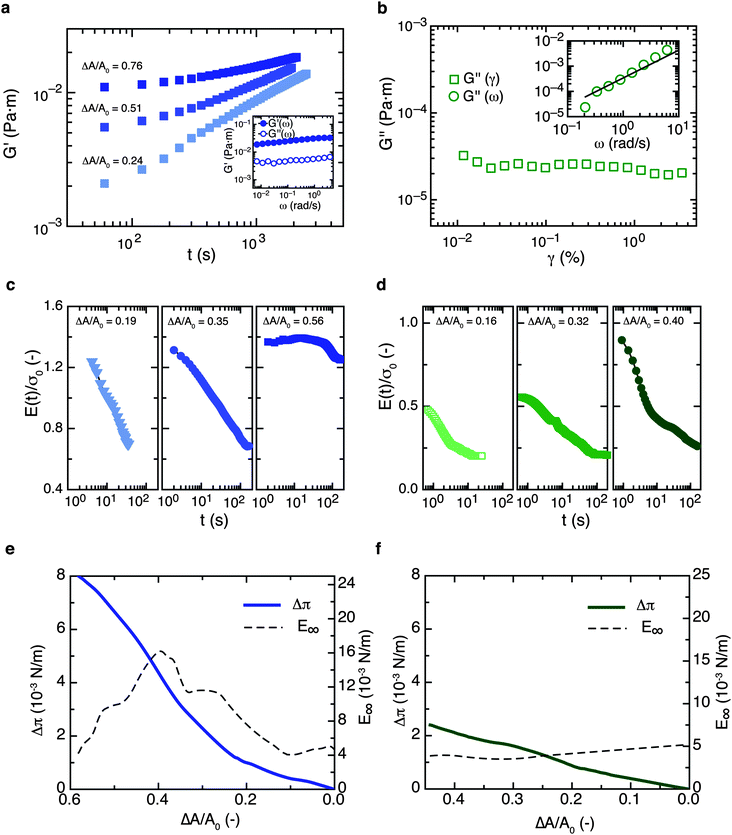 Interfacial rheology for Acacia gum (left-hand panels) and OSA (right-hand panels) at the oil–water interface. (a) Shear rheology of Acacia gum layers; the interfacial shear elastic modulus is plotted as a function of time for different interface pre-compression ratios. These are obtained using measuring cells with different cup radii. The inset shows the interfacial elastic (G′) and viscous (G′′) shear moduli in a typical frequency sweep experiment, indicating a characteristic ‘soft solid’ type rheological response. (b) Interfacial shear rheology of OSA solutions; only a weak viscous shear modulus of the interface G′′ is detectable, whereas no elastic interfacial shear modulus G′ can be measured. Data are only shown for the highest interface pre-compression ratio ΔA/A0 = 0.76; for lower pre-compression ratios we did not detect any interfacial shear response. The inset shows the interfacial shear viscous modulus G′′ as a function of the oscillation frequency ω; the line corresponds to a power law G′′ ∝ ω1.1, indicating that the interface is liquid-like under shear. (c) Interfacial compression modulus E(t) for Acacia gum, following step compression ending at t = 0 s. Interfacial compression strains ΔA/A0 are indicated with each experiment; the curves are normalized with respect to the equilibrium interfacial tension, σ0 = 12.1 mN m−1. (d) Interfacial compression modulus E(t) for OSA; curves are normalized with σ0 = 9.8 mN m−1. (e) Interfacial pressure increase Δπ as a function of ΔA/A0 and static compression elasticity E∞ for Acacia gum. (f) Δπ and E∞ for OSA. The oil phase is β-ionone in all cases.