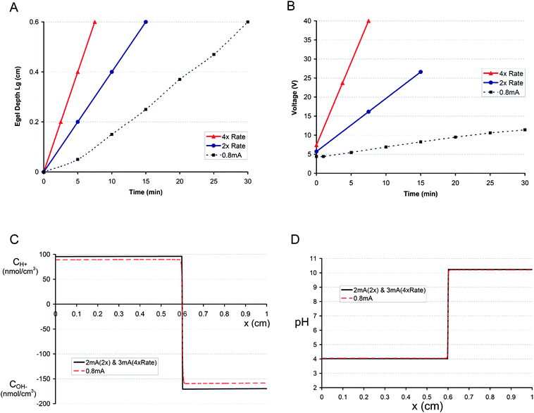 (A) Hypothetical E-gel growth curves (solid lines) and the measured 0.8 mA growth curve (dashed line). The solid blue line represents a growth rate that is twice that of the 0.8 mA case (labeled as 2× Rate), whereas the solid red line is 4-times the 0.8 mA growth rate (labeled as 4× Rate). (B) Corresponding voltage curves (solid lines, see Results for more details on how voltage was estimated) for the hypothetical E-gel growth curves (2× and 4× Rate) and the observed 0.8 mA voltage (dashed line). (C) The model predicts that a current of 2 mA is needed to achieve the E-gel growth curve of 2× Rate, and 3 mA is necessary for the 4× Rate. The resulting concentration profiles for the 2 mA and 3 mA cases are essentially the same (solid black line). The 0.8 mA concentration profile (dashed red line) is plotted for comparison. The profiles correspond to different time points but the same E-gel depth (x = 0.6 cm) (D) pH distributions, essentially identical for the 2 mA and 3 mA cases (solid black line) and the 0.8 mA case (dashed red line).