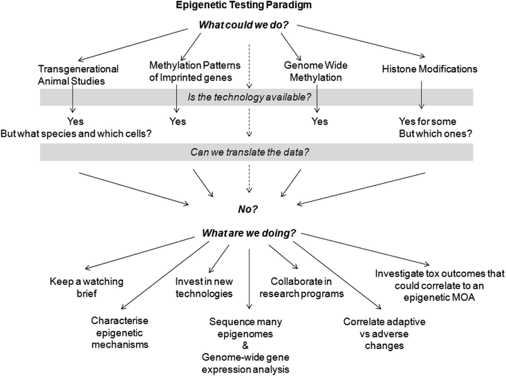 Epigenetic testing paradigm.