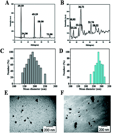 Physical characterization of CuI NPs and Cu3(PO4)2 NPs (A,B) X-ray diffraction patterns; (C,D) size distribution study; (E,F) TEM image, respectively.
