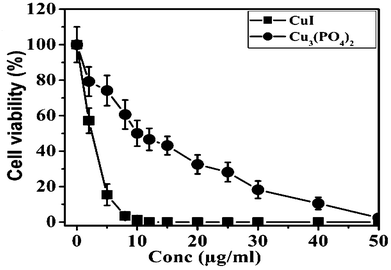 Cytotoxic effect of CuI and Cu3(PO4)2 NPs on human breast cancer cell line MCF7. Cells were incubated with increasing concentrations of CuI or Cu3(PO4)2 NPs for 24 h and their survivability was assessed by MTT.