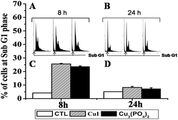 Flow cytometric cell-cycle distribution plots illustrating time course effect on the human breast cancer cell line MCF7 treated with CuI (2.5 μg ml−1) or Cu3(PO4)2 (10 μg ml−1) NPs. (A, B) Cell cycle phase distribution are given on the top of each bar; (C, D) histograms are the percentage of cell at Sub G1 peak either the untreated or CuI and Cu3(PO4)2 NPs treated cell.