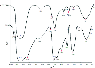 Comparative FTIR spectra for untreated (control) and NP treated (test) cells.