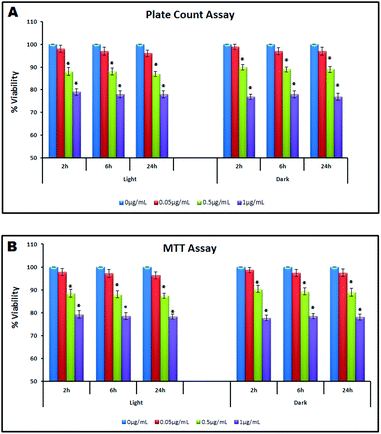Cell viability assessment under light and dark conditions (0 h–24 h) (A): Plate count assay; (B): MTT assay.