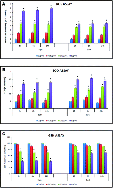 Oxidative stress assessment under light and dark conditions (0 h–24 h) by (A): ROS Assay; (B): SOD Assay; (C): GSH Assay.