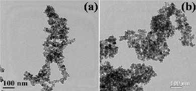 TEM images of the as-synthesized samples; (a) MNPs and (b) AMNPs.