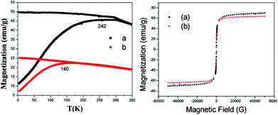 ZFC and FC magnetization curves with an applied field 100 G (a) of the MNPs and (b) AMNPS; the corresponding field-dependent magnetization studies of the sample showing the respective hysteresis loops measured at 300 K (same color lines).