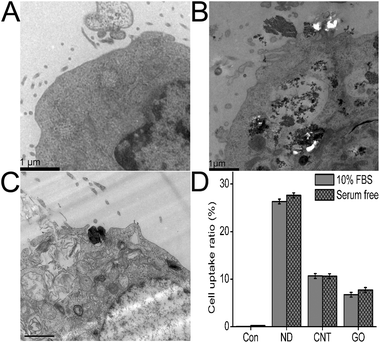 A comparative study of cellular uptake and cytotoxicity of multi-walled ...