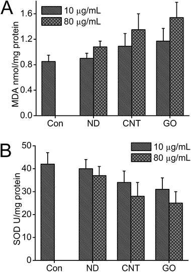Effects of CNMs on MDA and SOD changes in cell lysates (A) MDA production and (B) SOD reactivity.