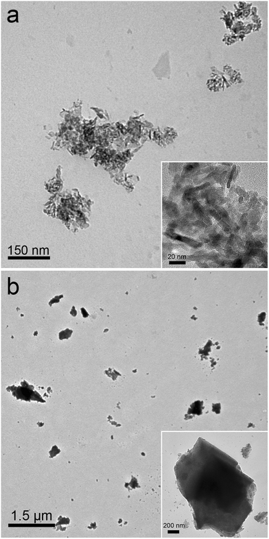 Representative TEM images of alumina NPs (a) and alumina powder (b).