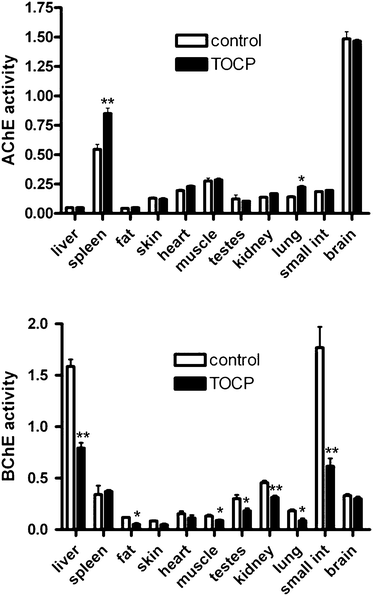 Tissue AChE and BChE activities in mice 96 h after treatment with 1500 mg kg−1 TOCP compared to control mice (n = 5 per group). AChE activity (top panel) and BChE activity (bottom panel) are expressed as micromoles per min per gram wet weight. Statistically significant differences between TOCP treated and control samples are indicated by * for p < 0.05, and by ** for p < 0.01. Mouse genotype was ES1−/−BChE+/−. Error bars are ±standard deviation.