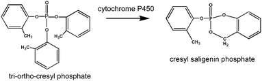 Structures of TOCP and cresyl saligenin phosphate.
