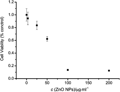 Cell viability of HeLa cells was determined by MTT assay after 72 h stimulation with various concentrations of ZnO NPs. Data were shown as mean ± SD (n = 6).