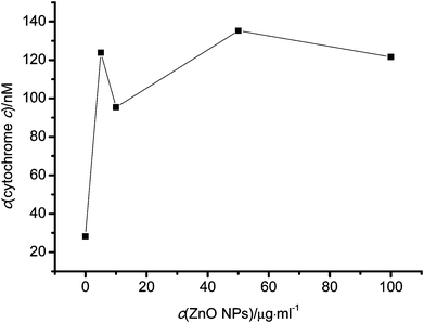 Cytochrome c release from mitochondria induced by ZnO NPs.