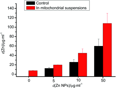 Free zinc released from ZnO NPs.