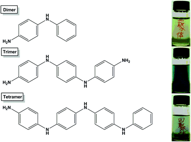 Structural characteristics of aniline oligomers. The aniline dimer and tetramer possess one amine group, and the aniline trimer has two amine groups. Inset bottles show the optical images of aniline oligomers dispersed in PBS after doping with concentrated hydrochloric acid (w/w, 37%).