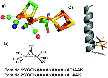 Photo Induced Hydrogen Production In A Helical Peptide Incorporating A Fefe Hydrogenase Active Site Mimic Chemical Communications Rsc Publishing