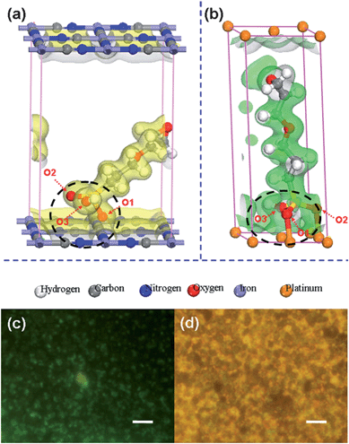 Single Layer Prussian Blue Grid As A Versatile Enzyme Trap For Low Potential Biosensors Journal Of Materials Chemistry Rsc Publishing